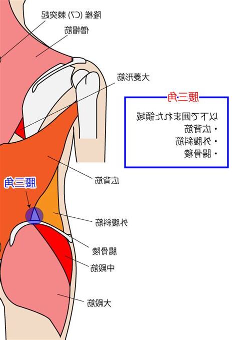 腰三角 構成